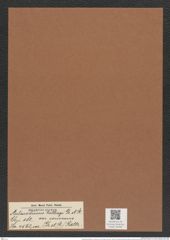 Aulacodiscus rattrayi var. convexus (Gr. et St.) Rattr. (de-Toni-Nr.: Genus 182, Species 4562) Zeichnungen Sammlung Grunow Mappe 04490 (Herbarium_W_Grunow_drawings_Folder_04490)